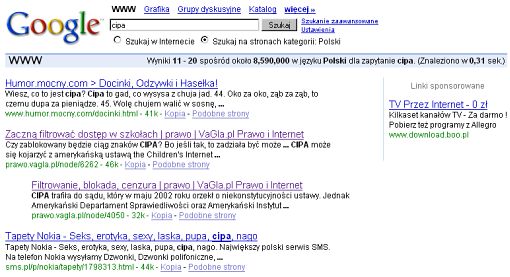 Screenshot wyników wyszukiwania Google na zapytanie CIPA