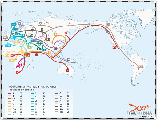 Mapa świata z zaznaczeniem migracji ludzi i powstawanie mutacji Y-DNA 