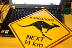 znak Kangaroos next 14 km