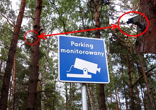 Znak: Parking monitorowany