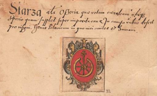 Starza w Arma baronum Regni Poloniae per Joannem Długosz descripta z ok. roku 1575
